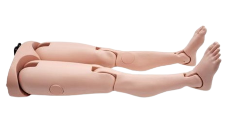 硬式腿部