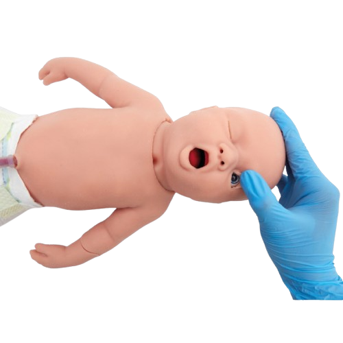 Atlas Baby嬰兒急救模擬人
