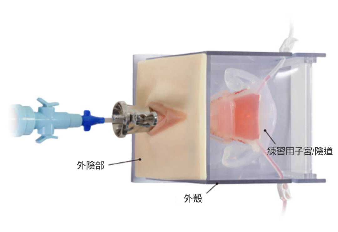 子宮清除術及陰道手術培訓模擬器