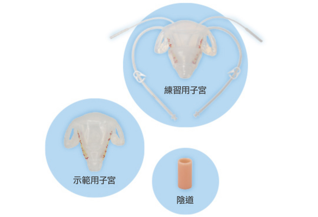 子宮清除術及陰道手術培訓模擬器
